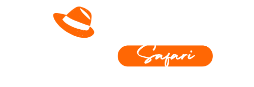 Desert City Safari